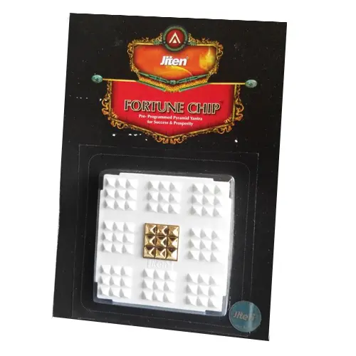 Jiten Fortune Chip